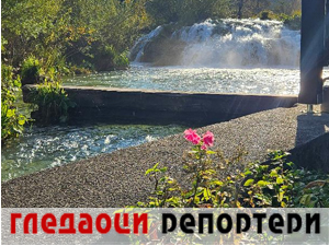 Гледаоци репортери 11. децембар 2024.