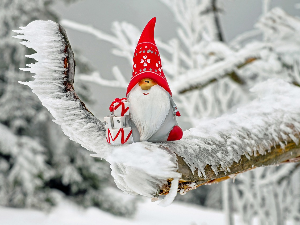 Зимско кулирање