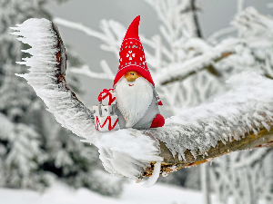 Зимско кулирање