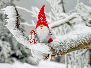 Зимско кулирање