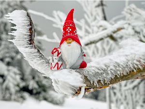 Зимско кулирање