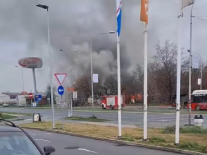 Пожар код Аде Циганлије, на терену ватрогасци