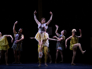 Гаетано Доницети: Позоришне згоде и незгоде