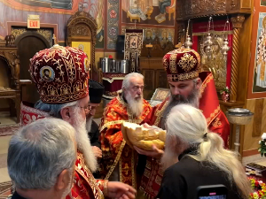 Корак у нови живот Симеона Јанчића
