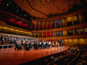 Винченцо Белини: Пират