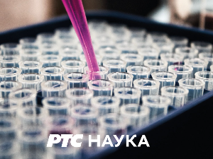 Промис: Тајна римског малтера