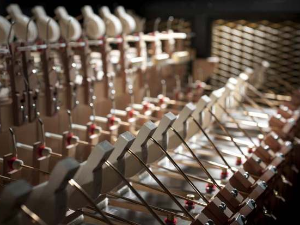 Музеј звука – Челеста