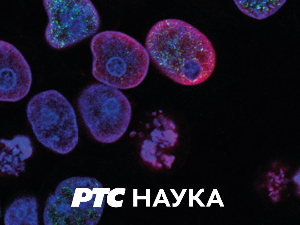 Студио знања: Има ли нас премало или превише?