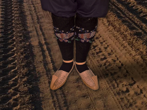 1001 Траг - Ненадово коло