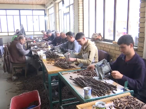 Могу ли се калемари из крушевачког краја надати бољем извозу и заради