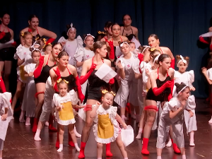 Зрењанин: Хуманитарно село