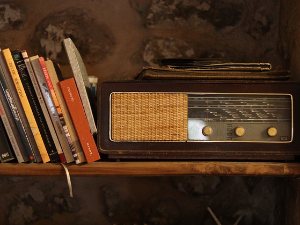 Ханс-Урлих Вагнер: Писци и радио (2)