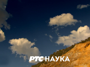 Сасвим природно:	Ледена лепотица Панчићева оморика