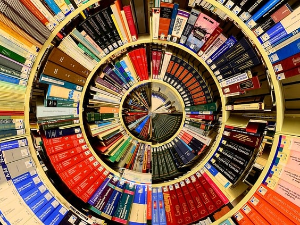 Антологија америчке експерименталне поезије – Крејг Дворкин, Ванесa Плејс и Керолајн Бергвал