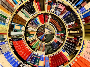 Антологија америчке експерименталне поезије – Трејси Морис и Чарлс Бернстин