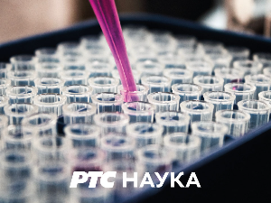 Наука кроз приче: Година једног дрвета