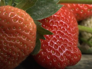 На пијаце стижу прве домаће јагоде 