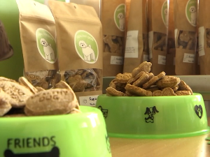 Крагујевачки средњошколци производе органску храну за псе