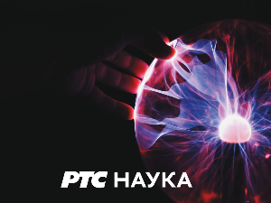 Дивљи свет: Шеста епизода