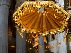 Музика вива