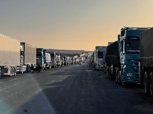 Амбасадор Србије у Каиру: Ситуација драматична - 7.000 камиона чека на Синају да испоручи помоћ Гази
