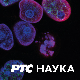 Декодирање науке: Љубомора