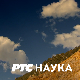 (Не)обично о биљкама: Биљке у народној поезији 6-10