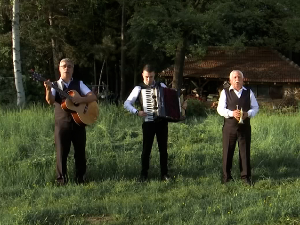 Шта пева "Царибродки оркестар"