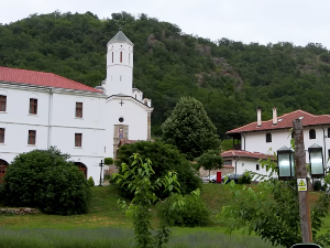 Прохор Пчињски: Медицина некада и сада