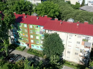 Нови Сад: Мурал за дрво срушено у олуји