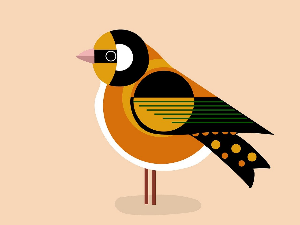 Зоо симфонија: Кецал