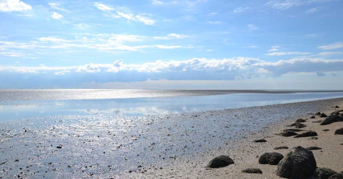 Климатске промене загрејале и Северно море