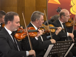 Народни оркестри и ансамбли РТС