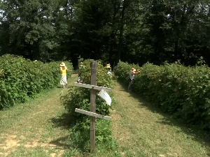 Коме је најтеже на + 40 степени? 