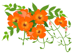 Добро јутро децо: Радио Невен 55