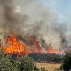 Високе температуре и јак ветар распламсали пожаре на Пелопонезу, погинула једна особа