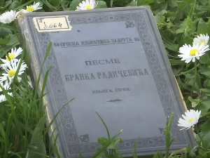 1001 Траг - Бранкова жеља