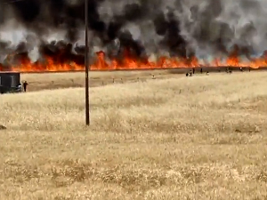 Шумски пожари у Турској, евакуисани гости и мештани у округу Кушадаси