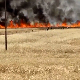 Шумски пожари у Турској, евакуисани гости и мештани у округу Кушадаси