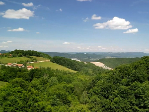 Већа отпорност на суше, обнова земљишта и биодиверзитета – основне тачке овогодишњег Светског дана заштите животне средине