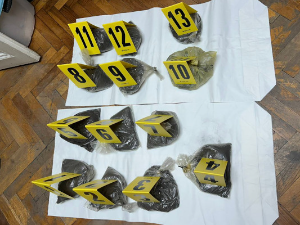 Бадовинци, полиција пронашла 30 килограма кокаина у кабини камиона