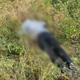 Убица полицајца ликвидиран у околини Лознице, поново пуцао на полицију