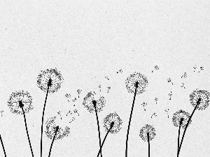 Добро јутро децо: Чешаљ за маслачке