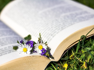 Станислава Бараћ: Еманципација жена и концепт middlebrow књижевности (3)