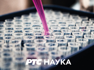 Наука кроз приче: Црне рупе