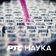 Породична мрежа: Слика о телу