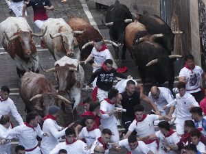 Почело традиционално трчање са биковима у Памплони, у првој трци шесторо повређених