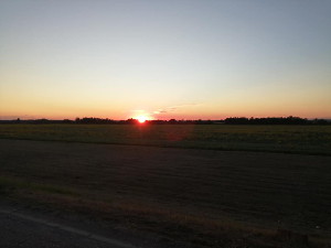 Ритам раног јесењег јутра