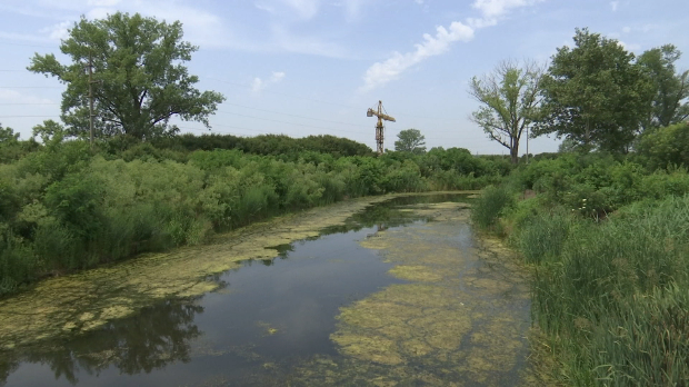 Београдске отпадне воде – чекајући на европске стандарде у пречишћавању