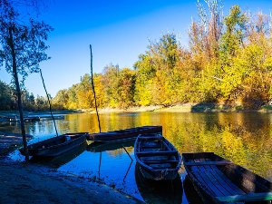 Изумирање риба у рекама, Србија би могла да остане без јесетри и моруна